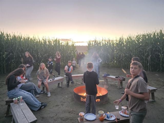 Bob's Corn Maze 2026 — photo 6